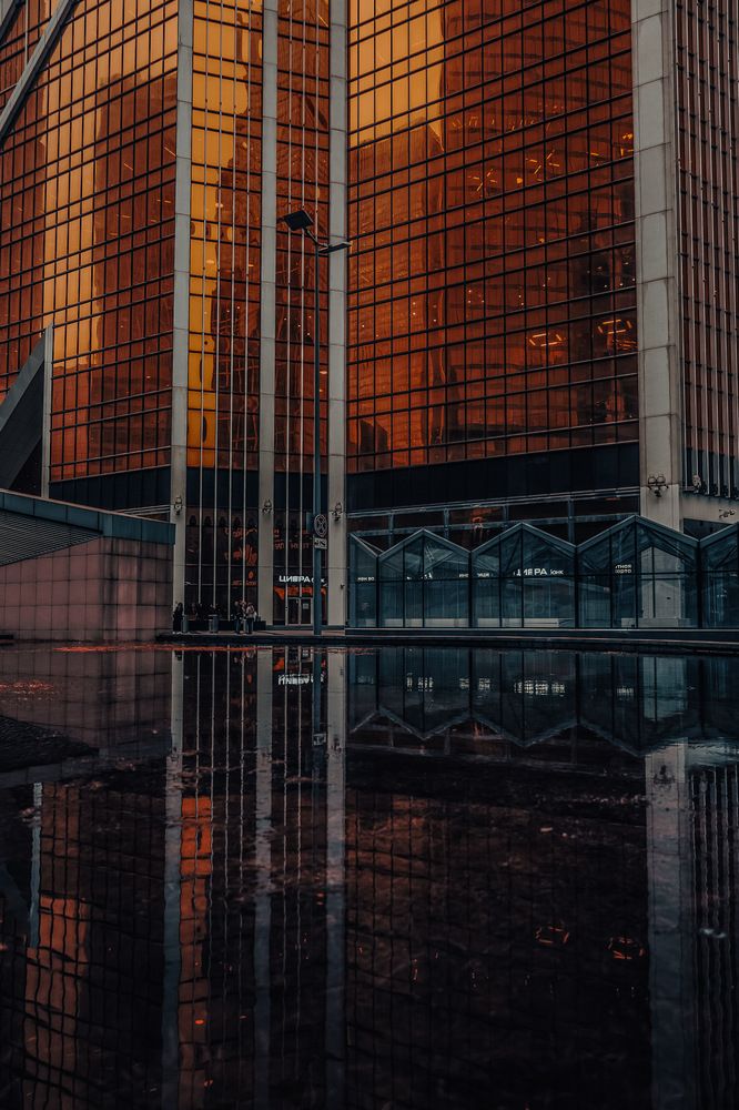 Photograph by Anastasia Astakhova