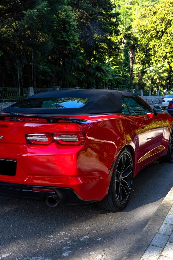 Photograph by София Серёжечкина