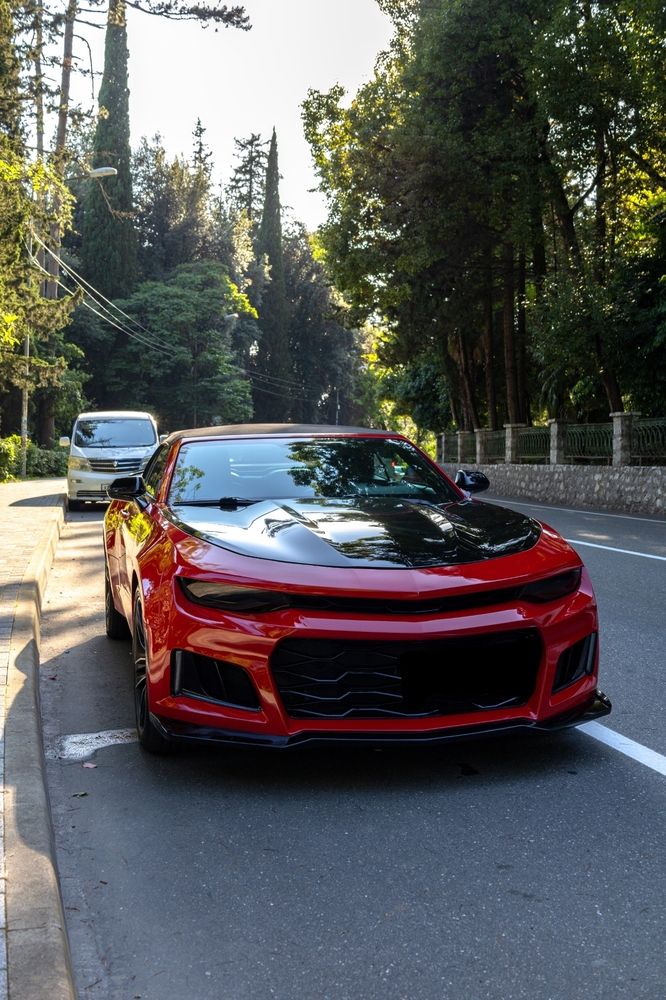 Photograph by София Серёжечкина