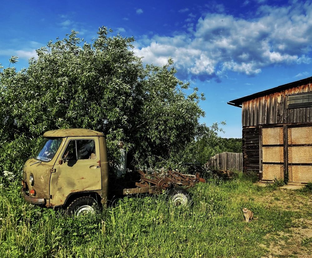 Photograph by Наталья Тарабычина