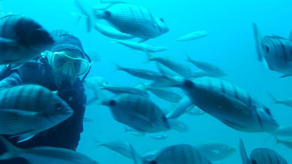 Фотография автора Nieves Gloria Alvarez Diaz