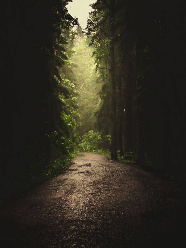 Photograph by Державин Александр