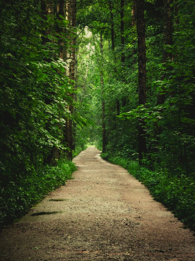 Photograph by Державин Александр