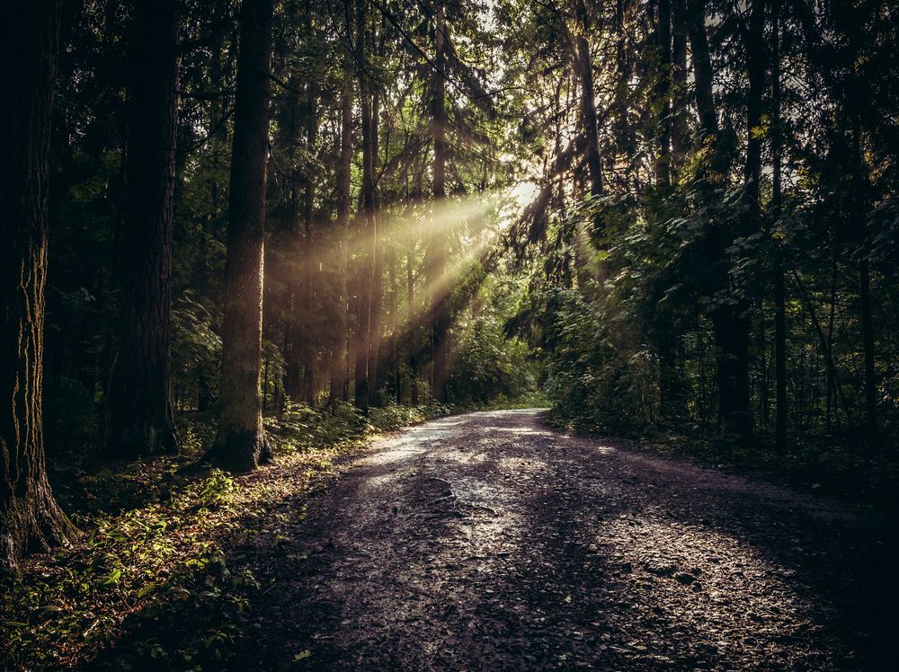 Photograph by Державин Александр