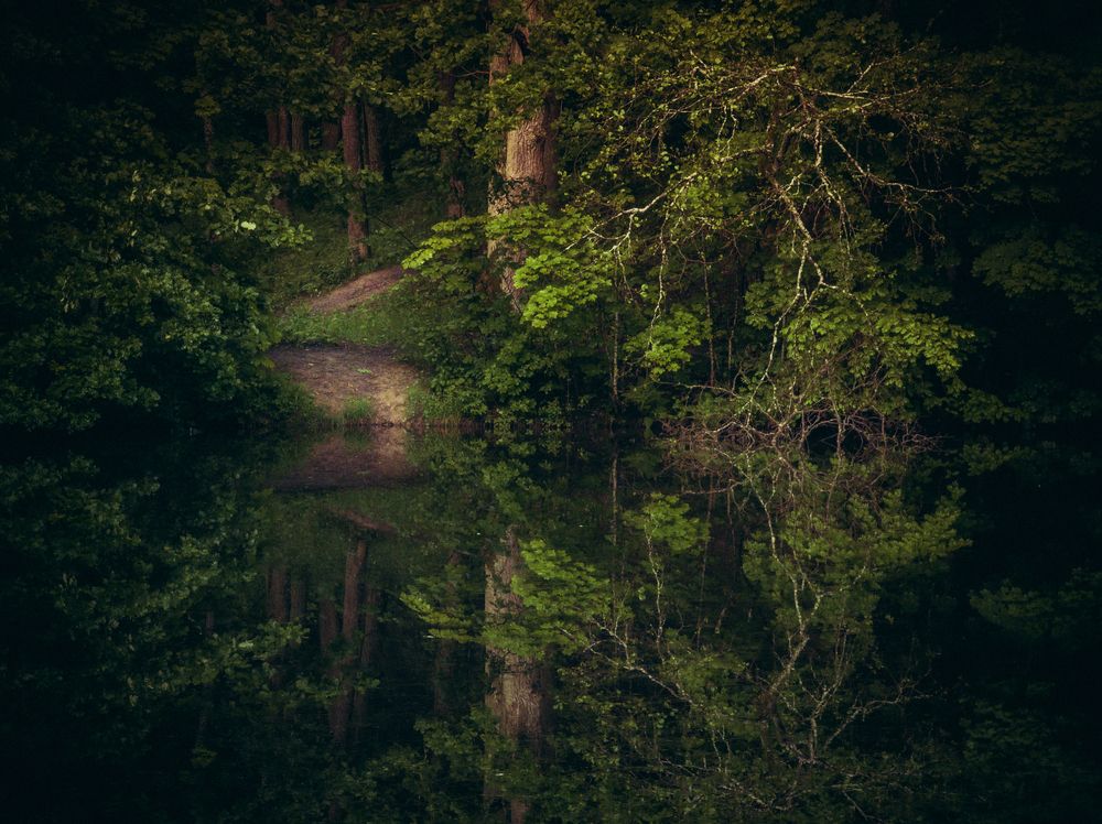 Photograph by Державин Александр