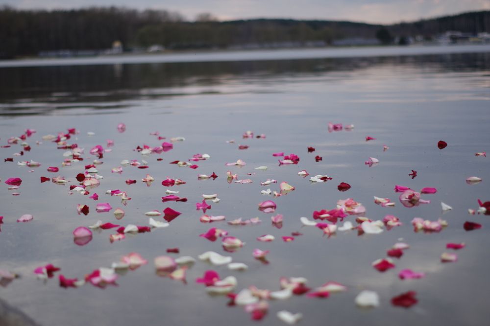 Photograph by Олег Черноокий