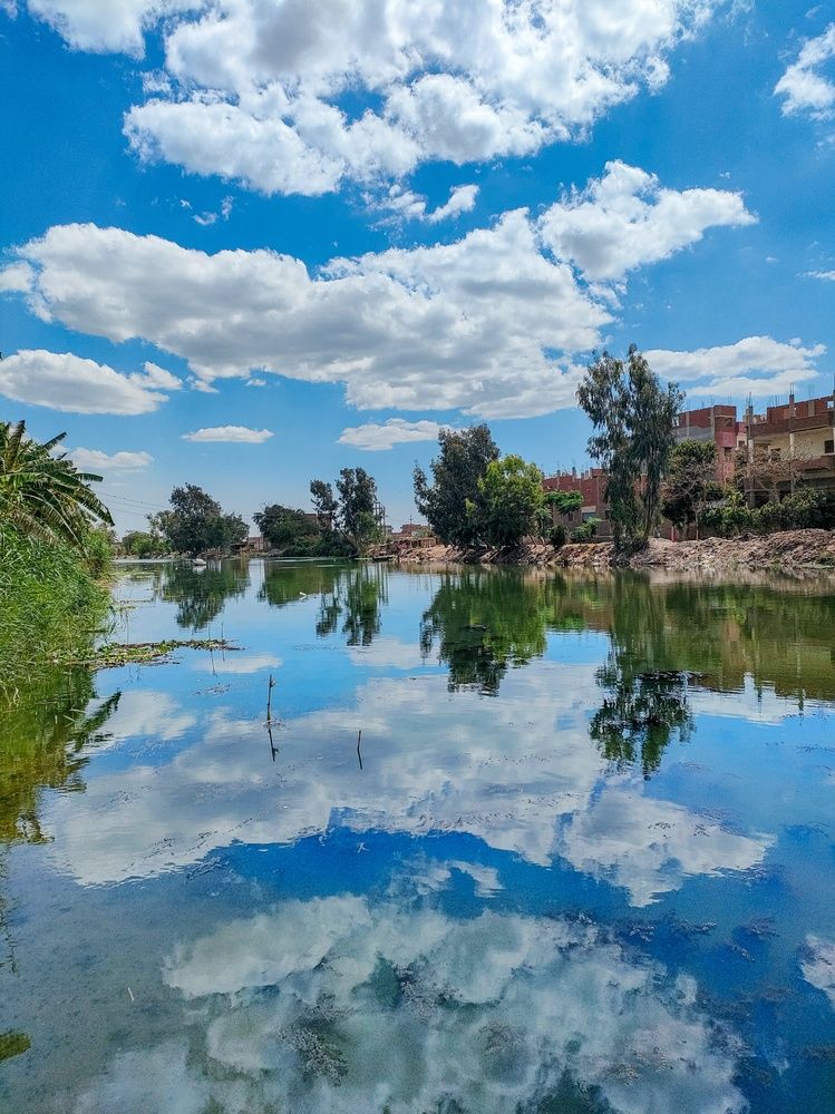 Фотография автора Sara Attia