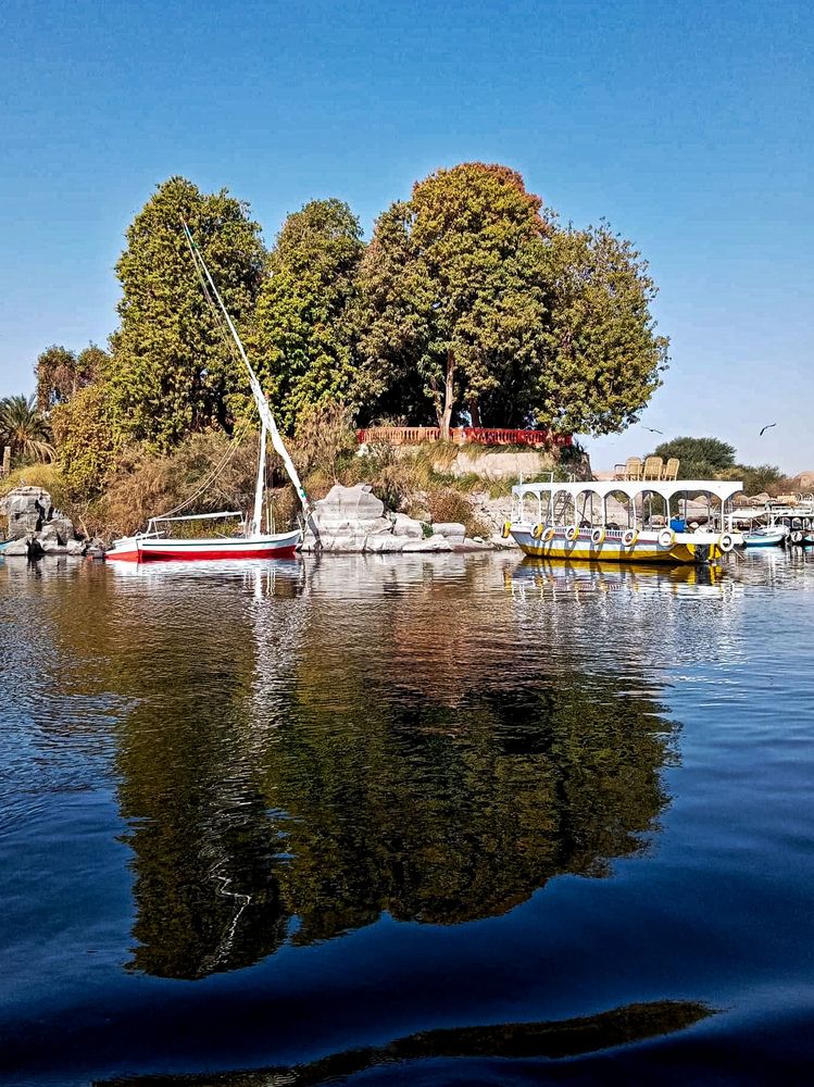 Фотография автора Sara Attia