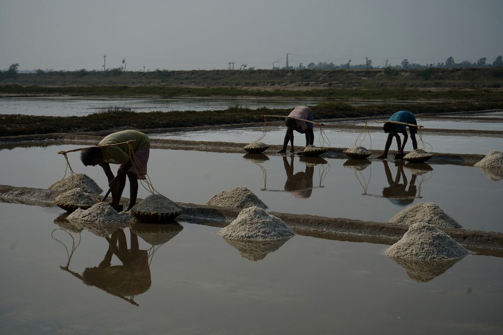 Фотография автора DEBASISH NAG