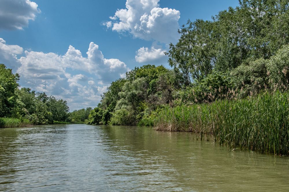 Photograph by Zsuzsa Décsi