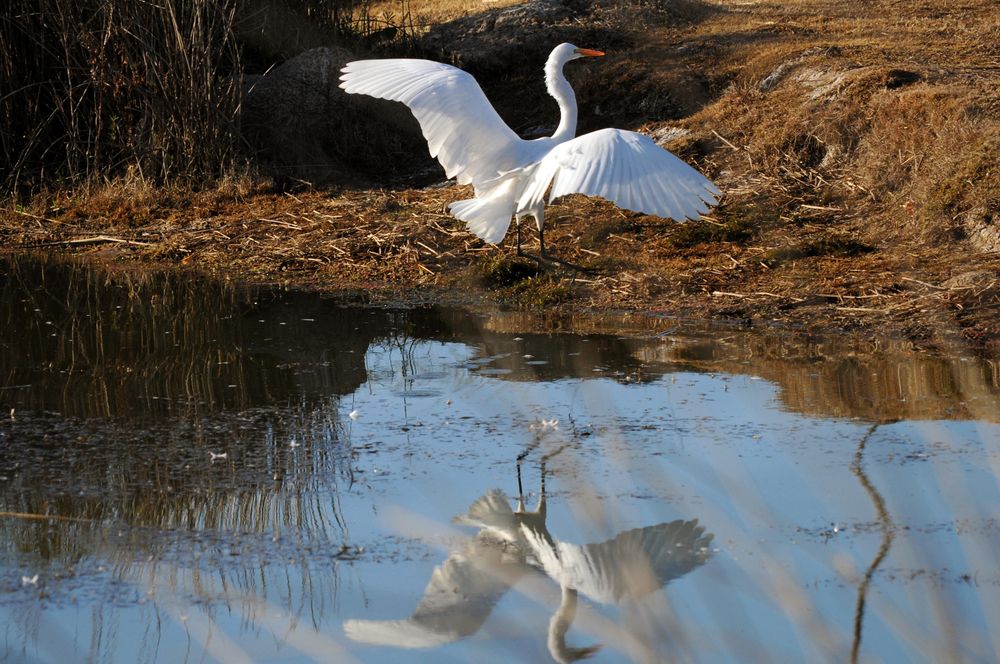 Photograph by Ricardo Kimmich