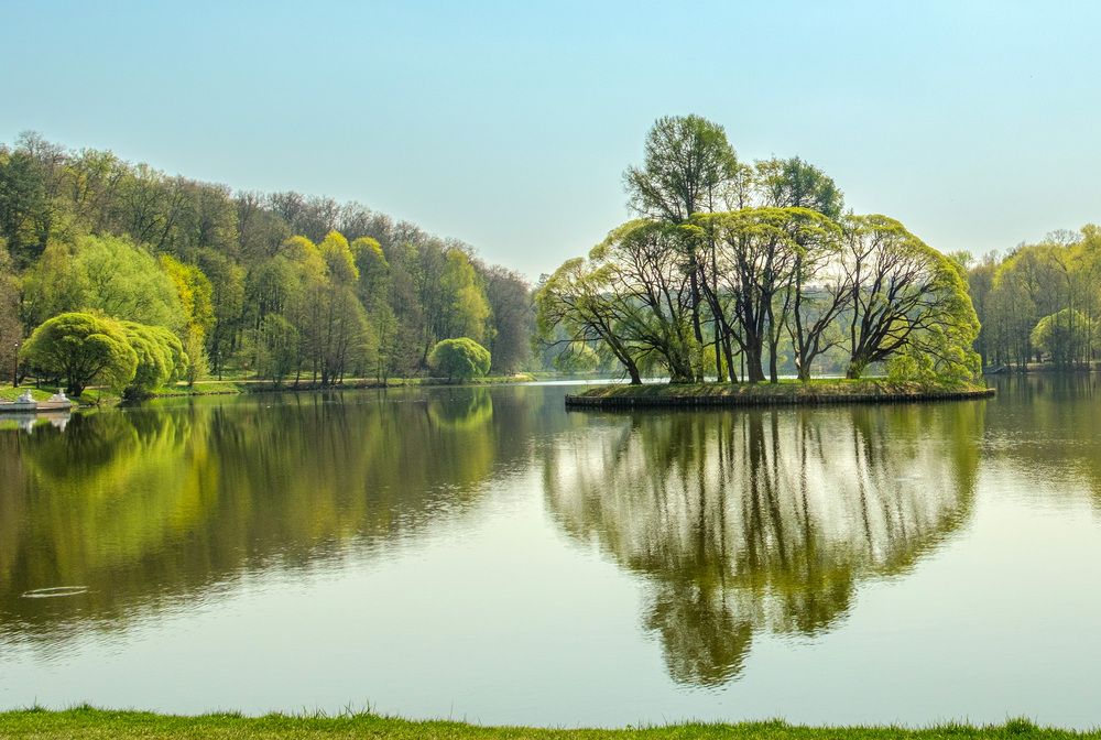 Фотография автора Наталья Липовская