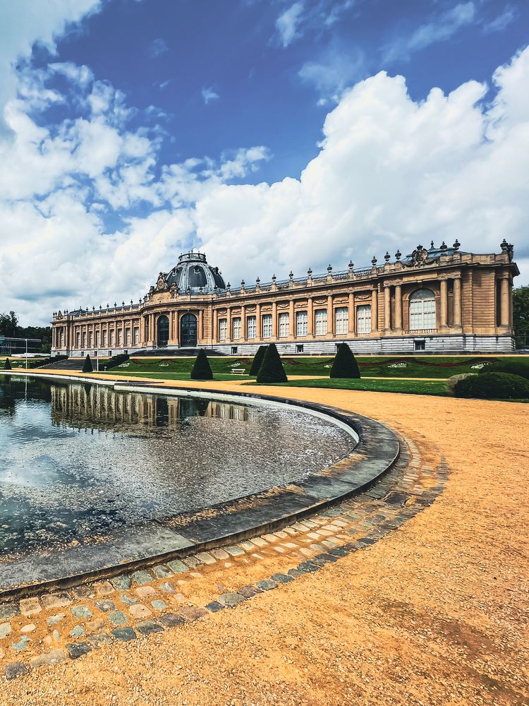 Photograph by Anya Lo