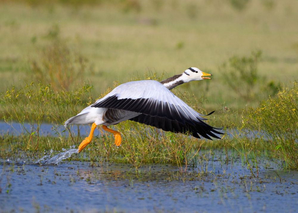 Photograph by Sathishkumar S