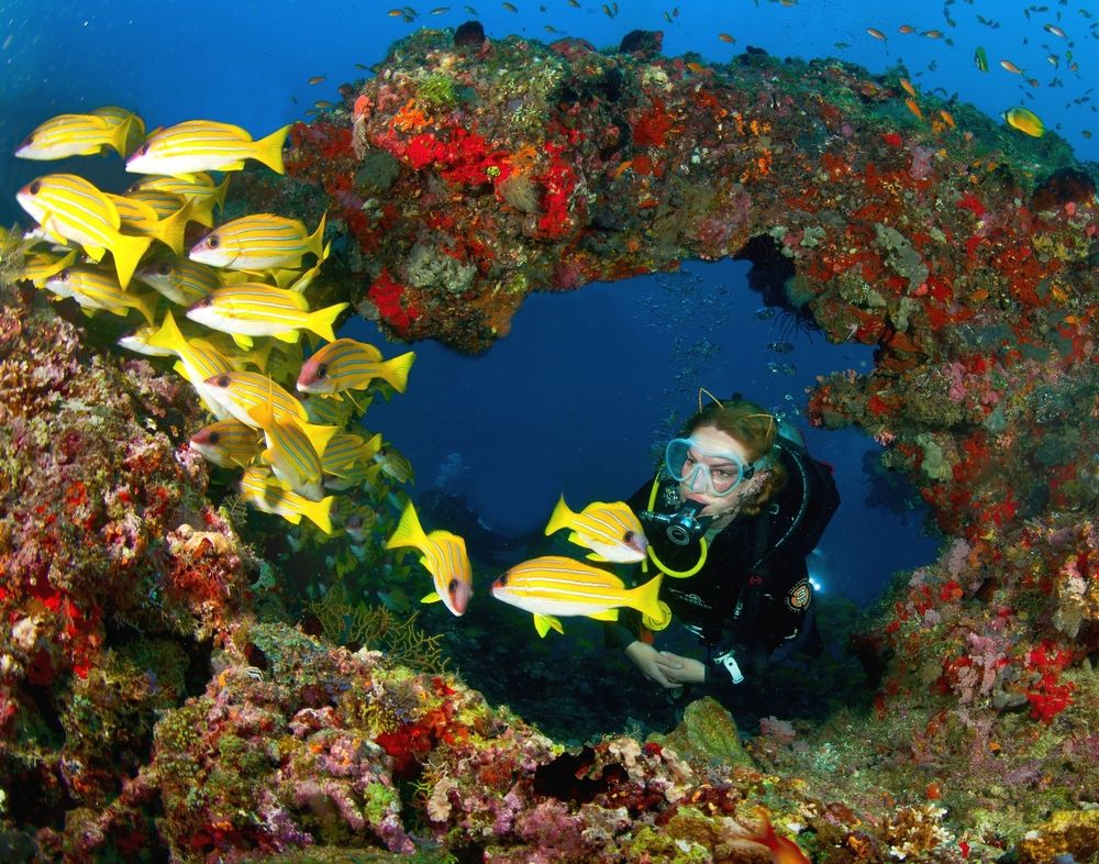 Photograph by Цыба Роман