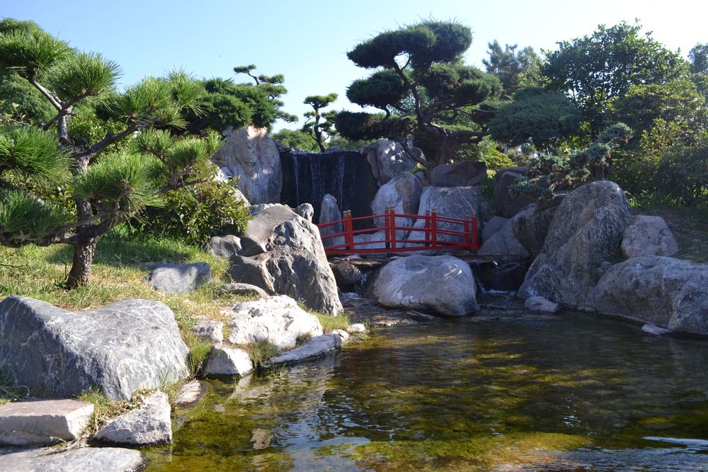 Photograph by Roger Laverde