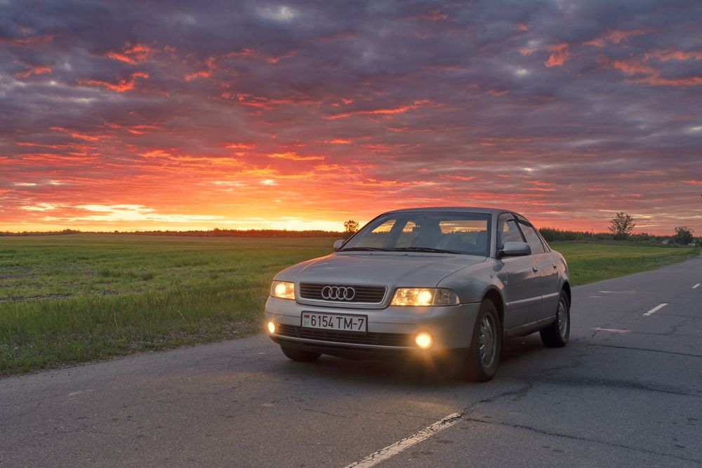 Photograph by Александр Гвоздь