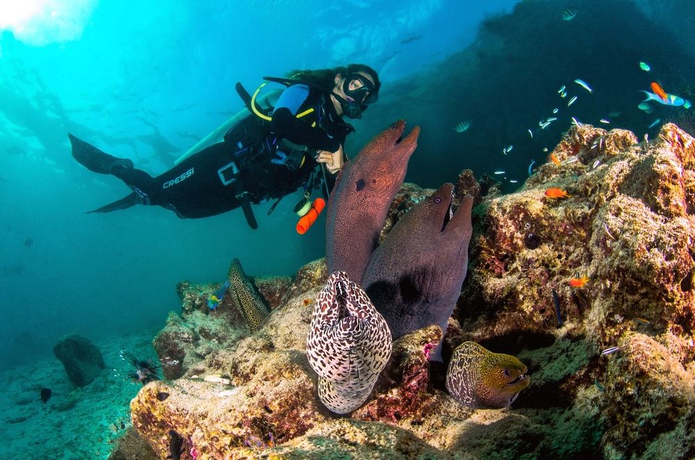 Photograph by Цыба Роман