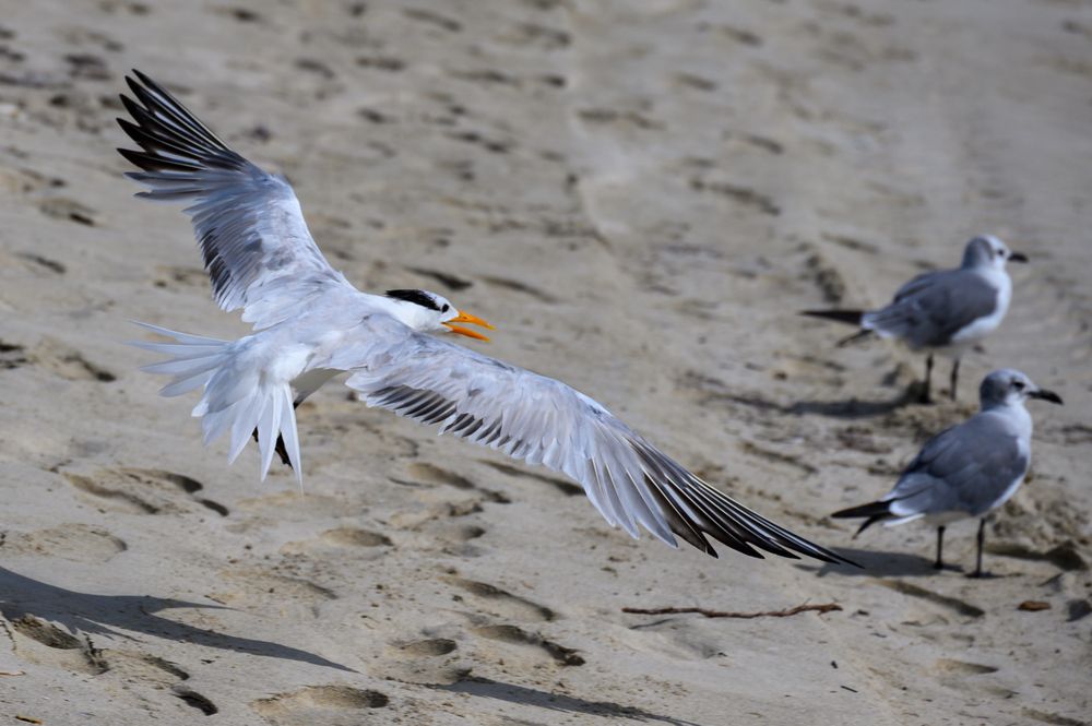 Photograph by Вячеслав Белов