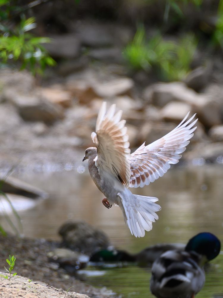Photograph by Вячеслав Белов
