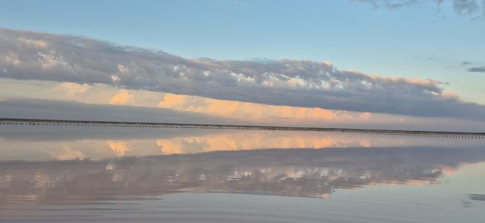 Фотография автора Ольга Мусина