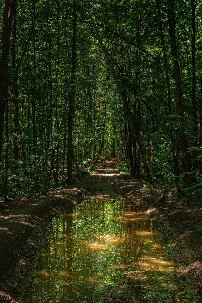 Photograph by Суворова Валентина