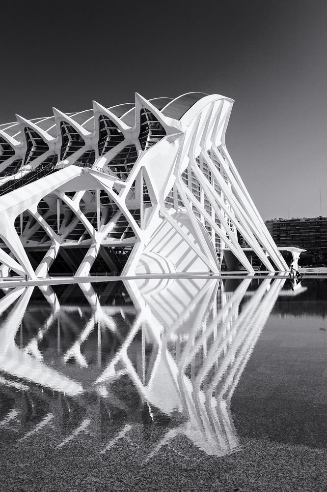 Фотография автора Totoro