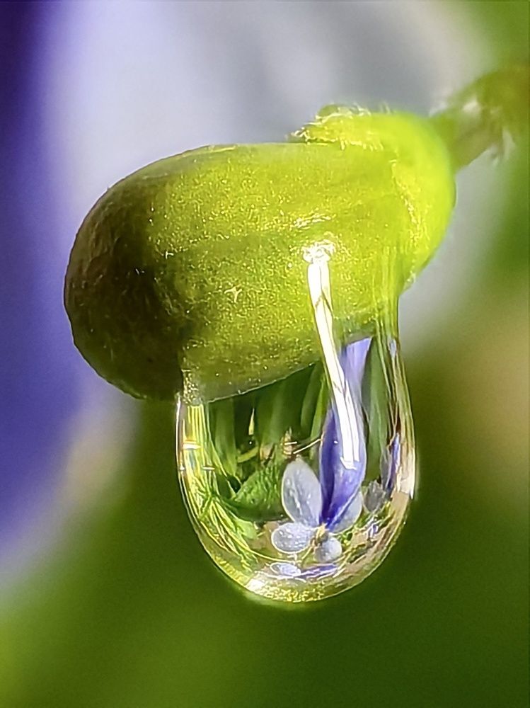 Фотография автора Оксана