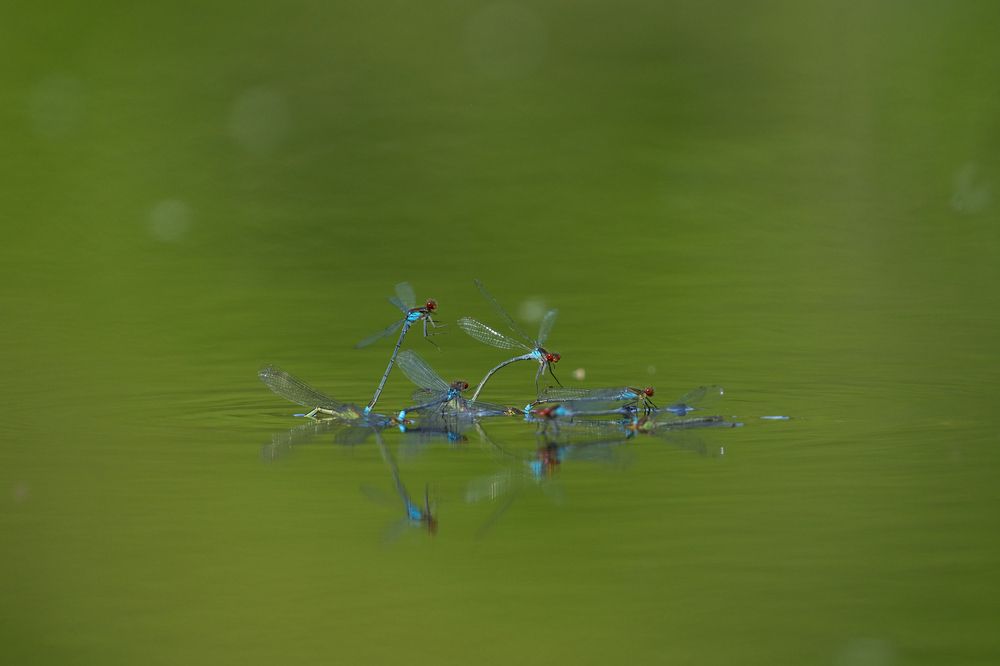 Photograph by Valery Zmachynski