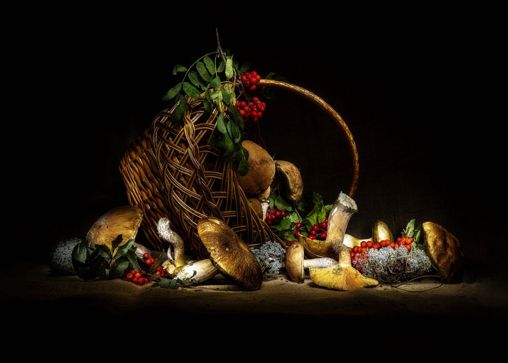 Photograph by Margarita