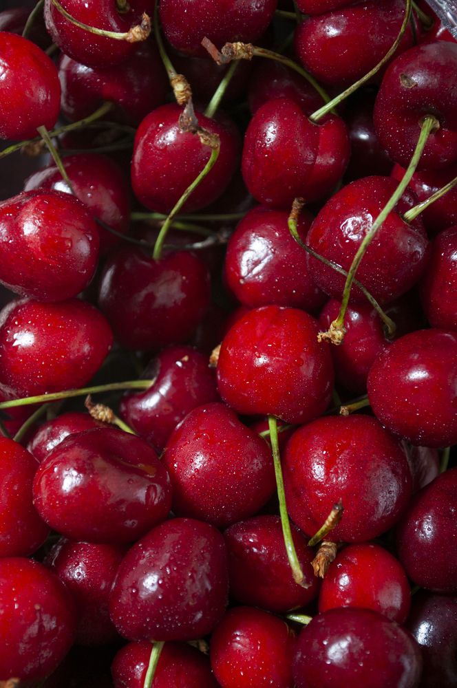 Photograph by Наталья Сергеевна Крылова