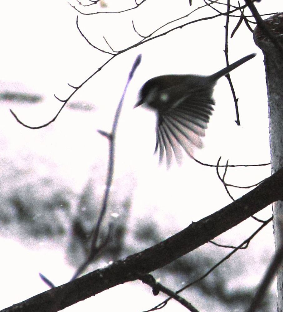 Photograph by Алексей Худяков