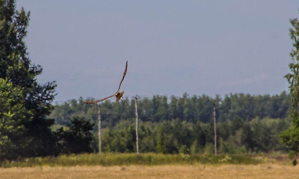Photograph by Алексей Худяков