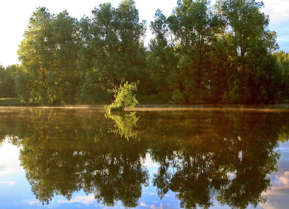 Photograph by вячеслав милов