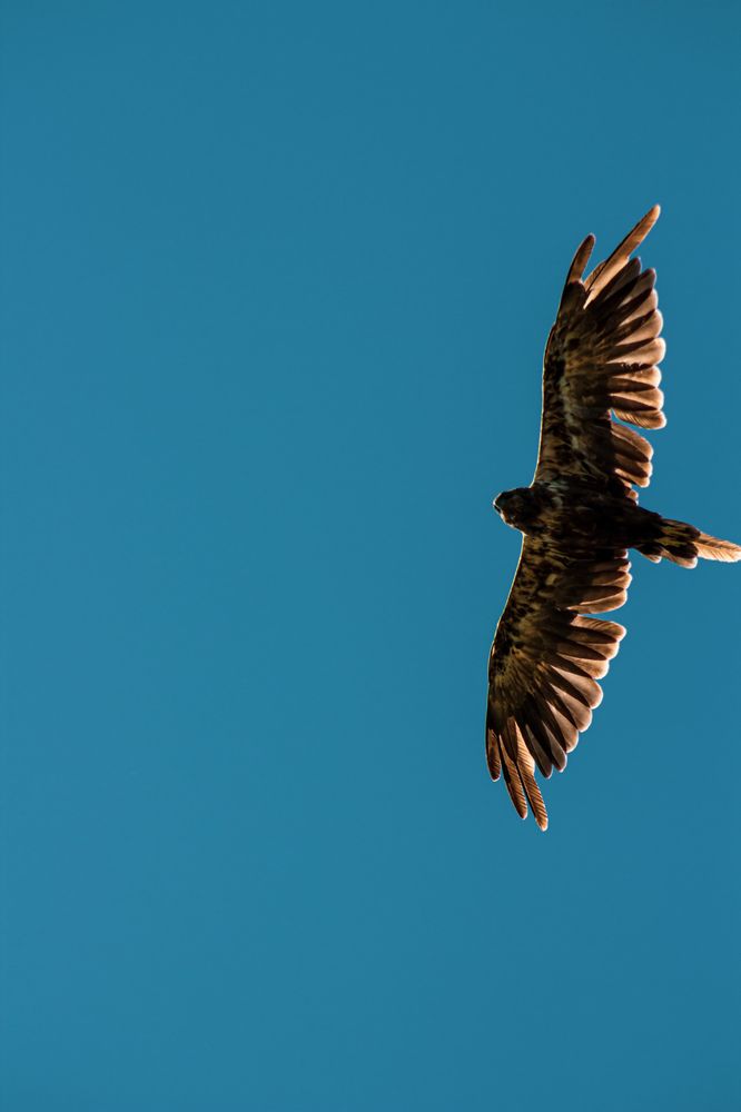 Фотография автора Денис Мартыновский
