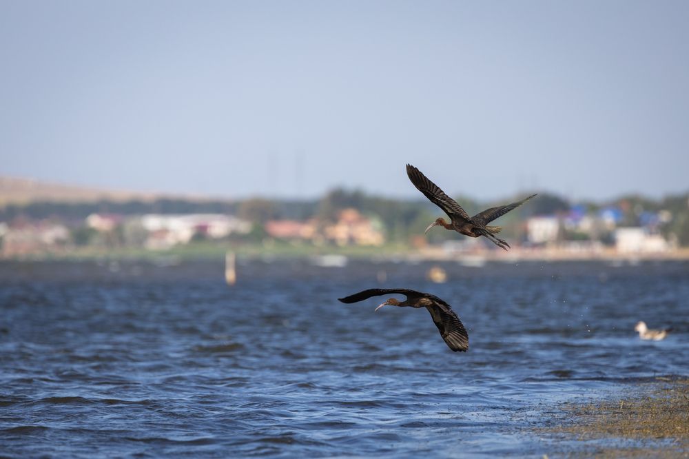 Photograph by Алексей Шматков