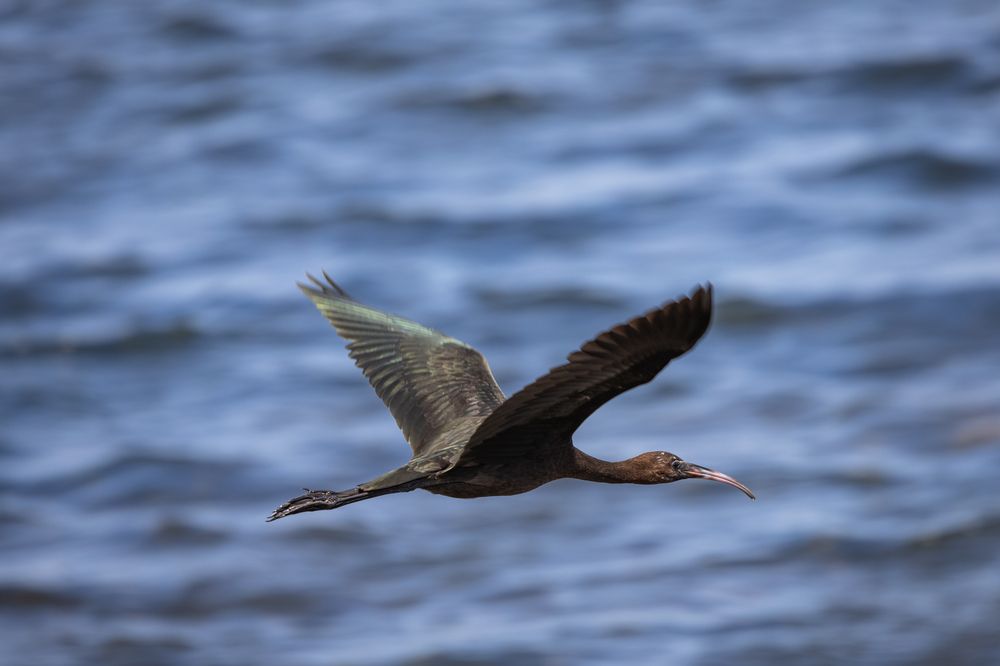 Photograph by Алексей Шматков