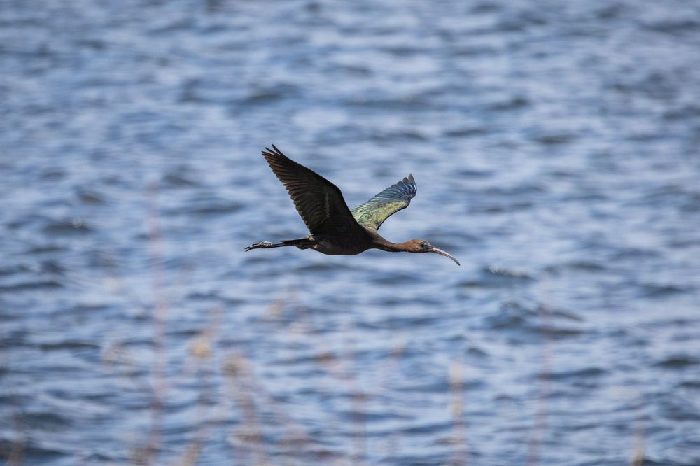 Photograph by Алексей Шматков