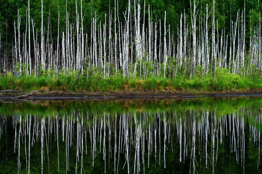 Photograph by вячеслав милов