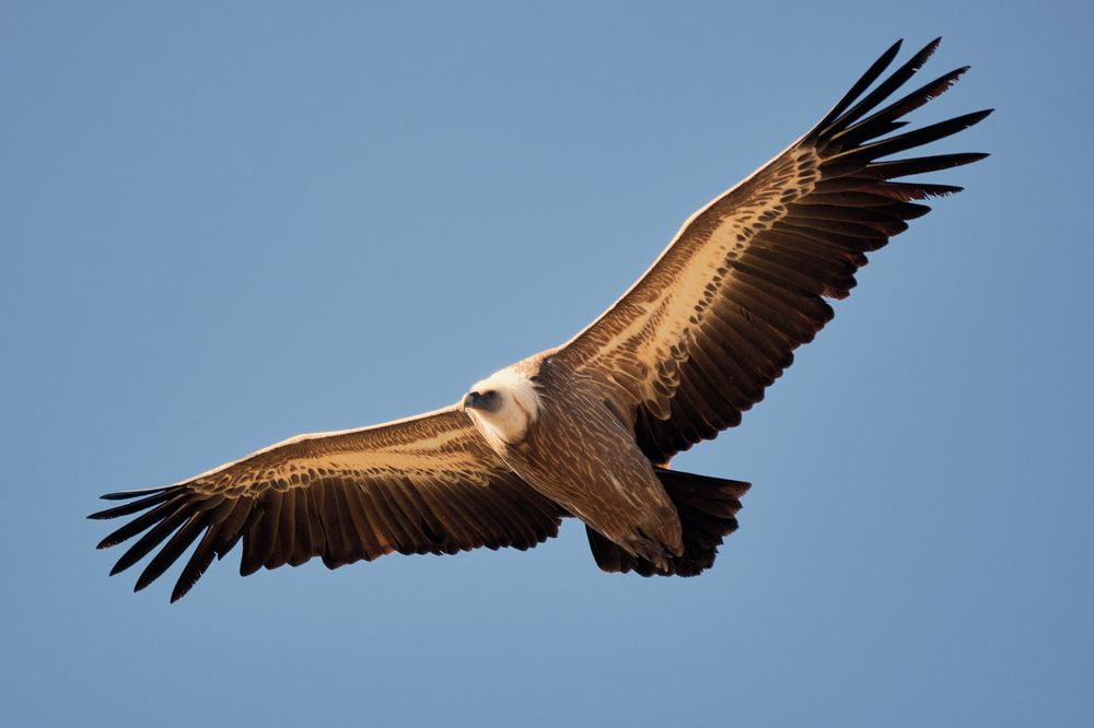 Photograph by Nikola Simic
