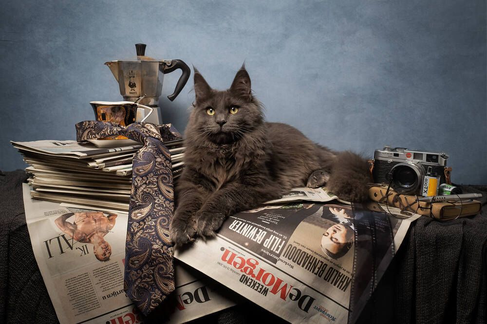 The Journalist