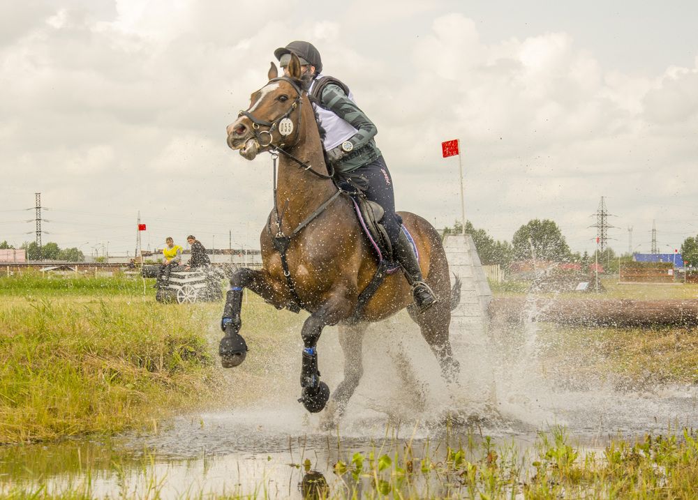 Photograph by Татьяна Титова