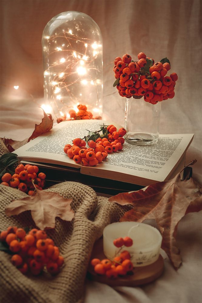 Warm Like Firethorns