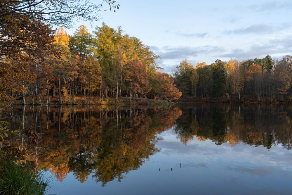 Photograph by Криволуцкий Вячеслав