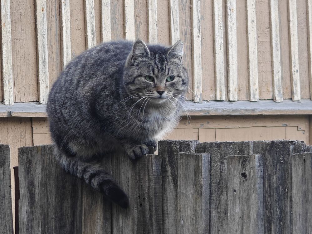 Photograph by Вячеслав Рудинский