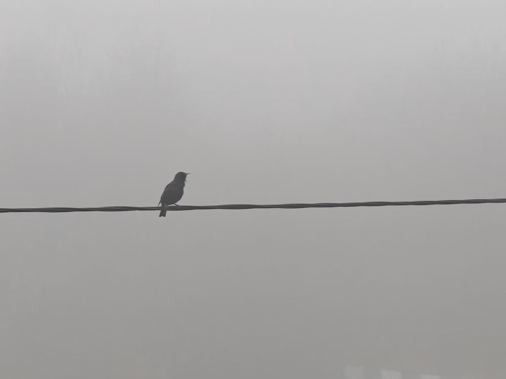 Photo #12324088