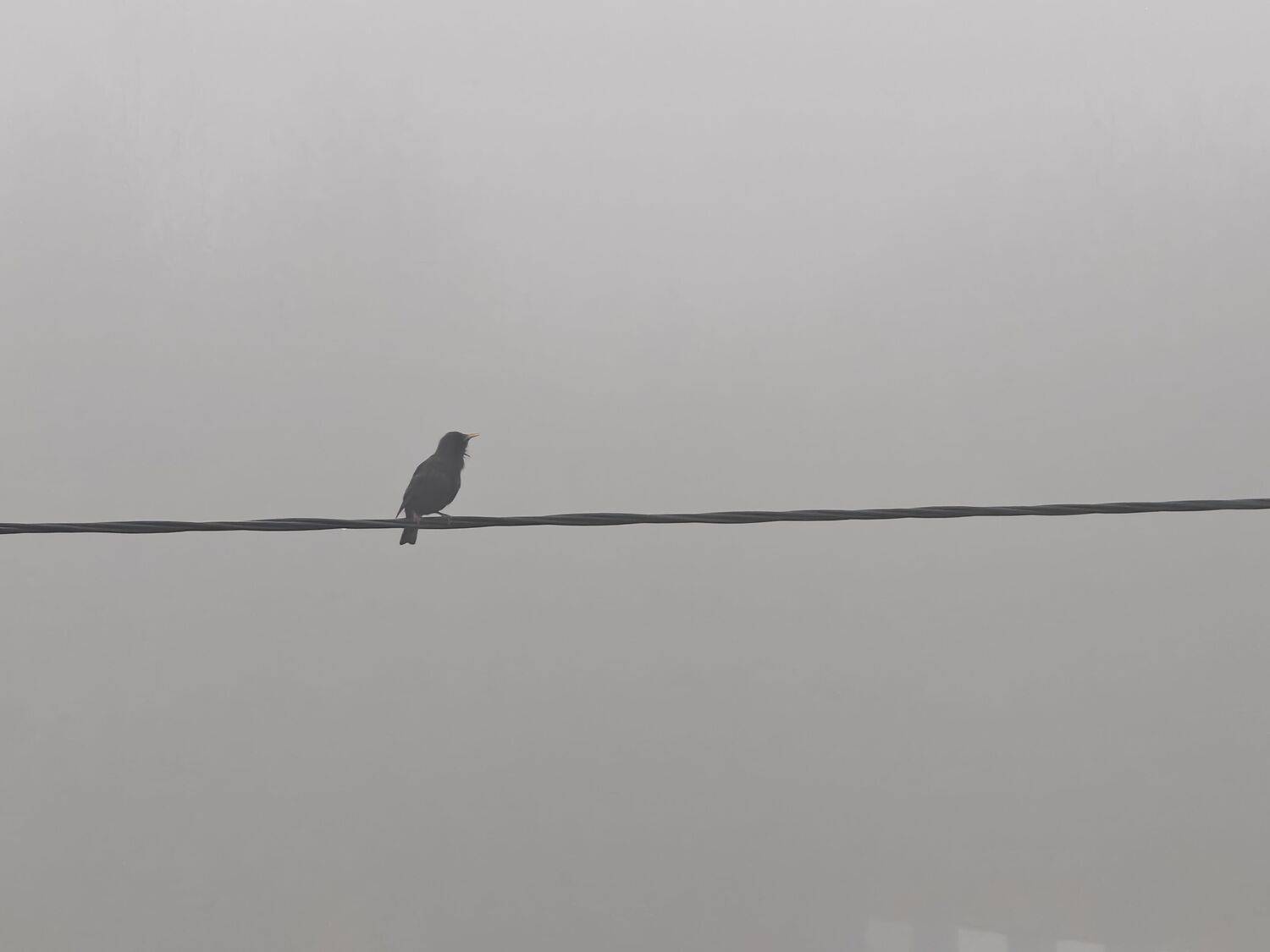 Photo #12324088