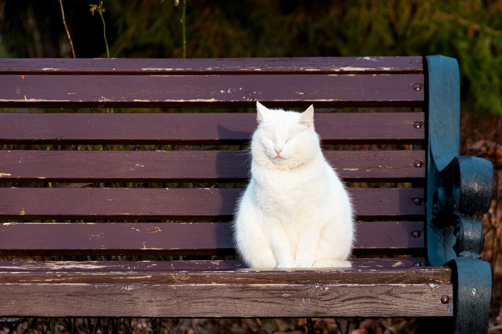 Photograph by Вячеслав Рудинский