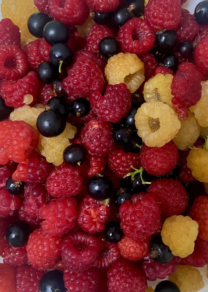 Photograph by Ирина Молибог