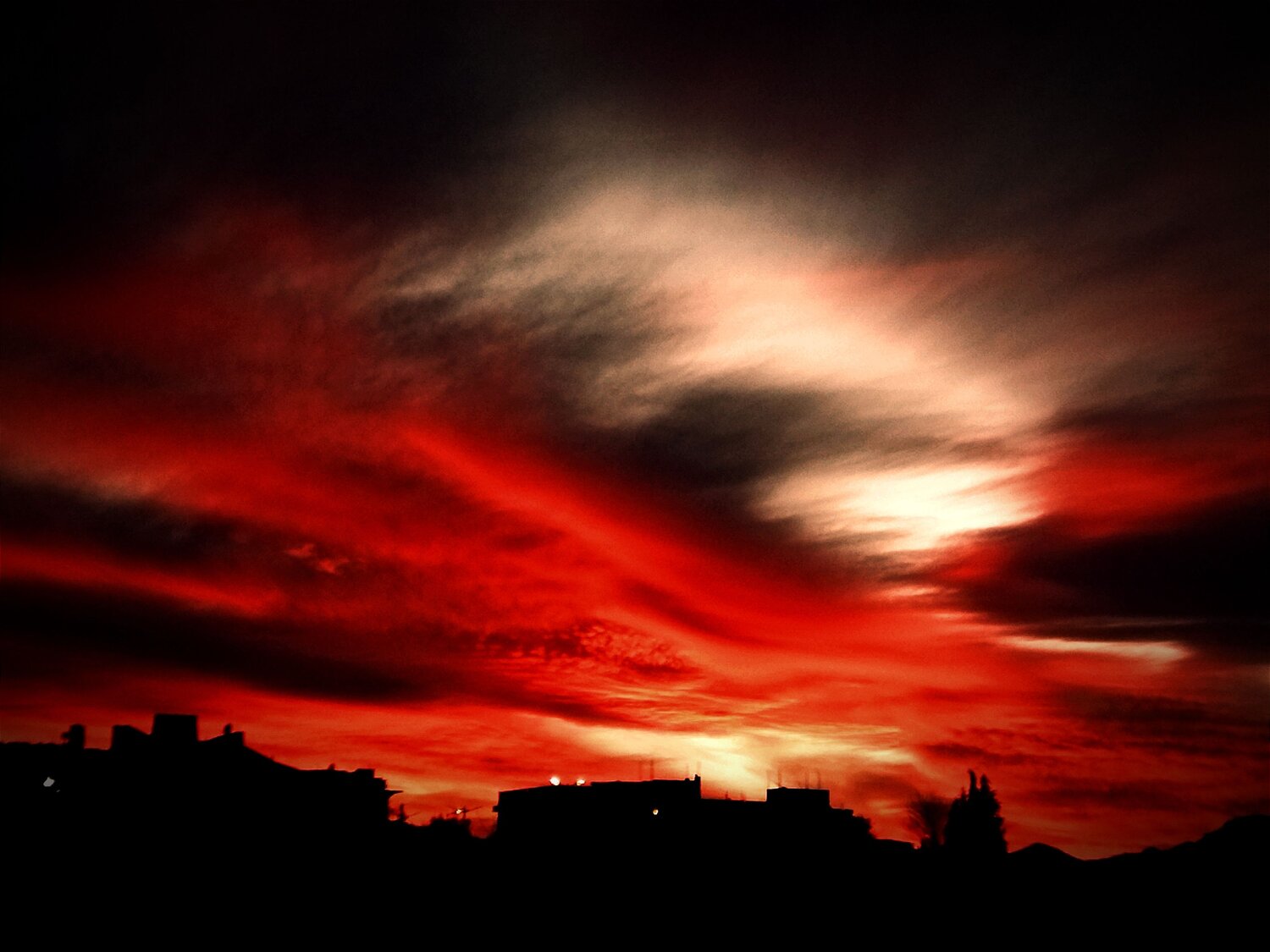 Photo #12324122